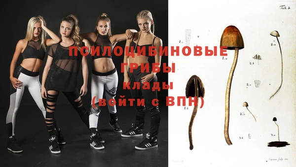 стафф Абдулино