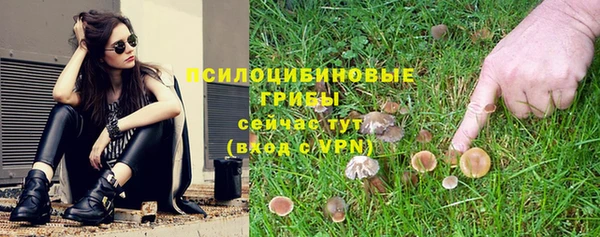 Альфа ПВП Абаза