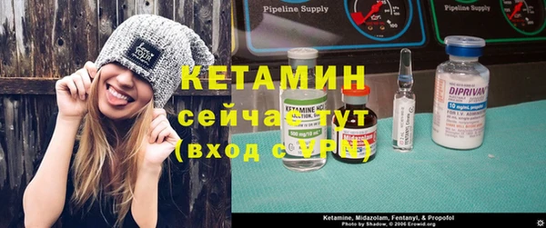 амф Дмитриев