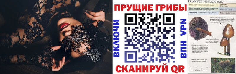 Галлюциногенные грибы Psilocybe  Подпорожье 